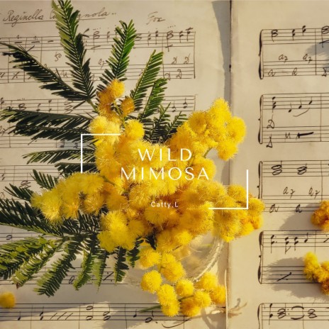 Wild Mimosa | Boomplay Music