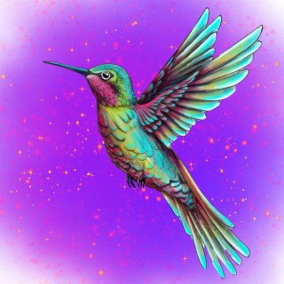 Hummingbird