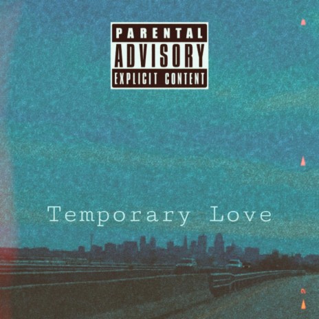 Temporary Love | Boomplay Music