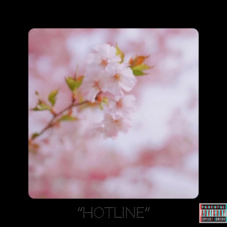 Hotline | Boomplay Music