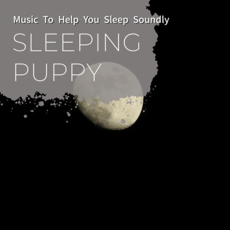 A Long and Lasting Sleep | Boomplay Music