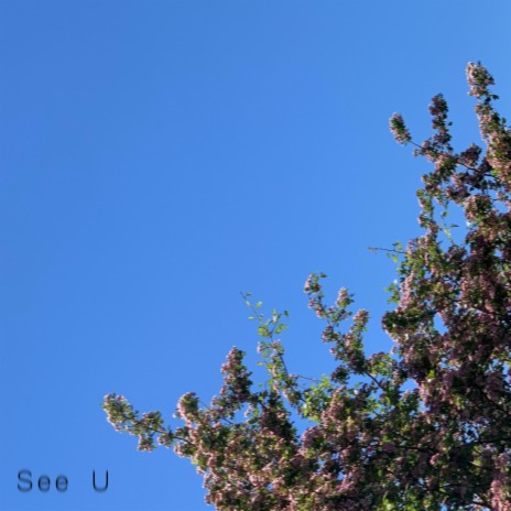 See U (Sped Up) | Boomplay Music