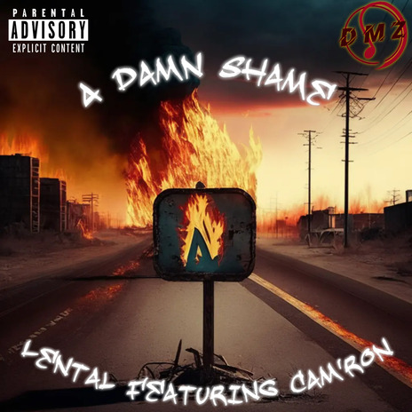 A Damn Shame ft. Cam'ron | Boomplay Music