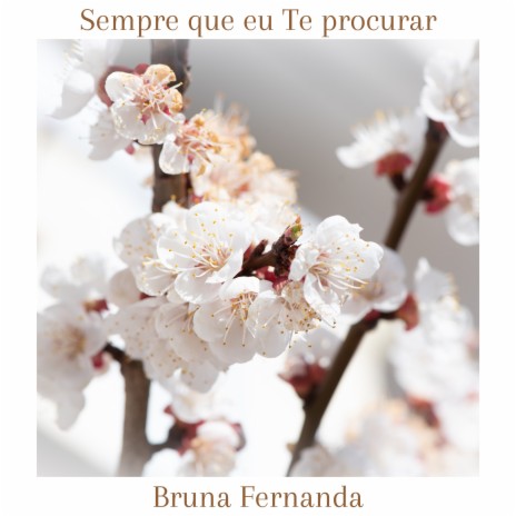 Sempre que eu Te procurar (Demo) | Boomplay Music