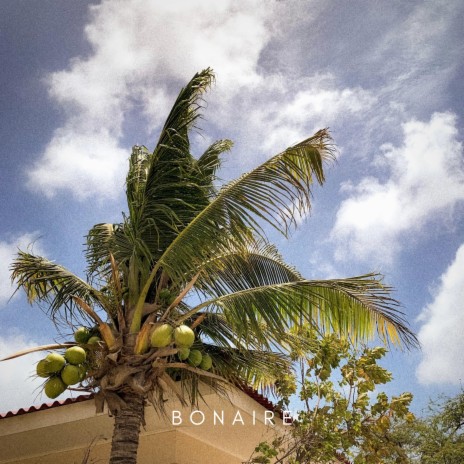 BONAIRE (feat. Fri) | Boomplay Music