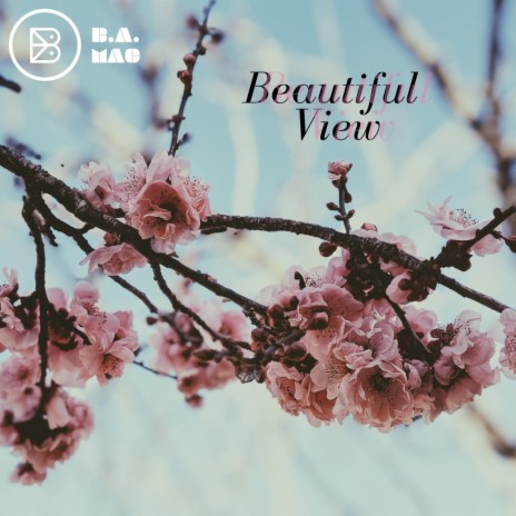 Beautiful View | Boomplay Music