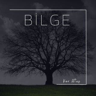 Bilge