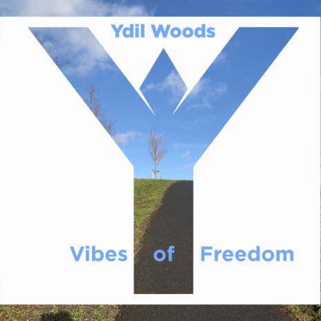 Vibes of Freedom | Boomplay Music