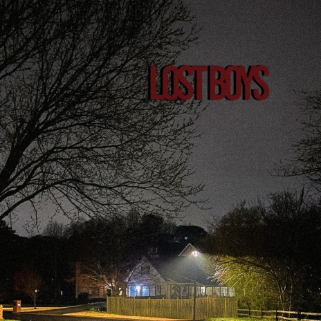 Lost Boys | Boomplay Music