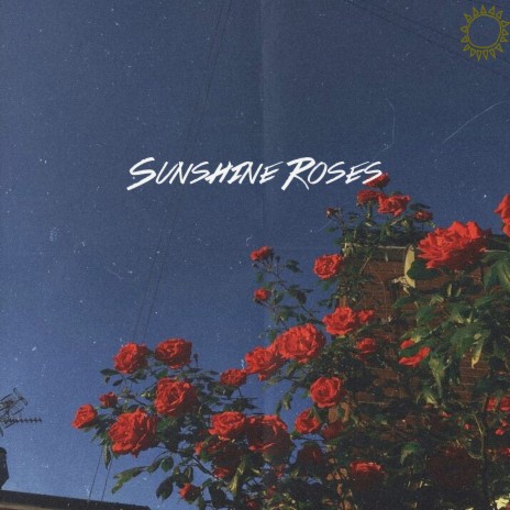 Sunshine Roses ft. Ian.Ross | Boomplay Music