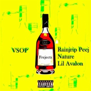 VSOP (feat. RainJrip Peej, Nature & Lil Avalon)