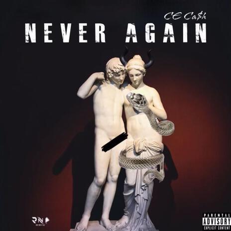 Never Again | Boomplay Music