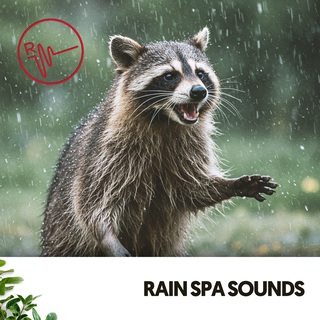 Rain Spa Sounds: Serenity Shower