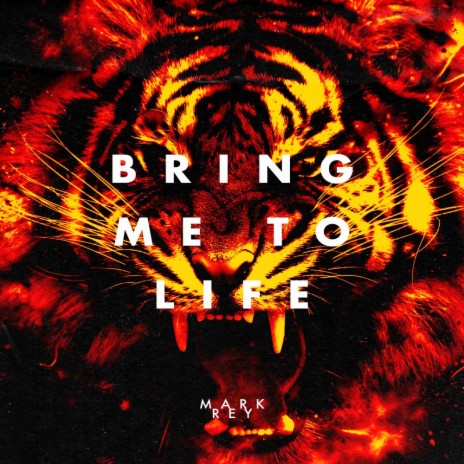 Bring Me To Life | Boomplay Music