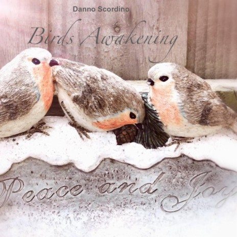 Birds Awakening (Original Soundtrack) (In Memory Of The Ones In Heaven) | Boomplay Music