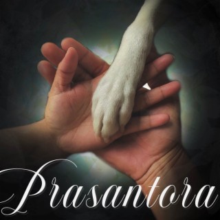 Prasantora