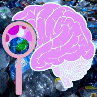 Plastic in My Brain