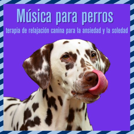 Siesta de perros ft. Dog Music Dreams