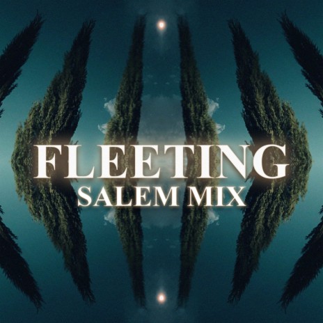 Fleeting (Salem Remix) ft. Salem