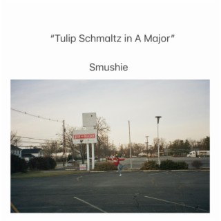 Tulip Schmaltz in A Major