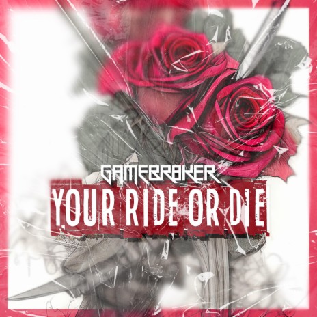 Your Ride Or Die | Boomplay Music