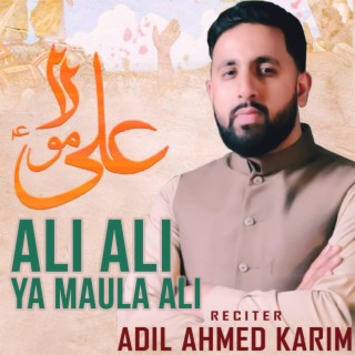 Ali Ali Ya Maula Ali (Adil Karim)