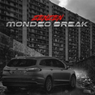 Mondeo break