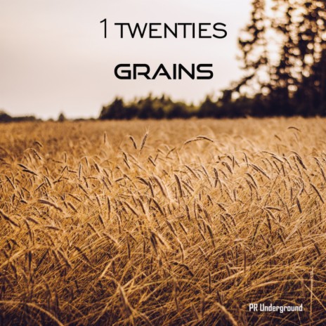 Grains (Original Mix)