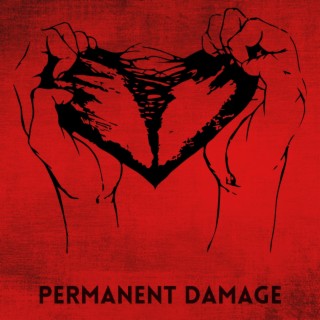 Permanent Damage lyrics | Boomplay Music