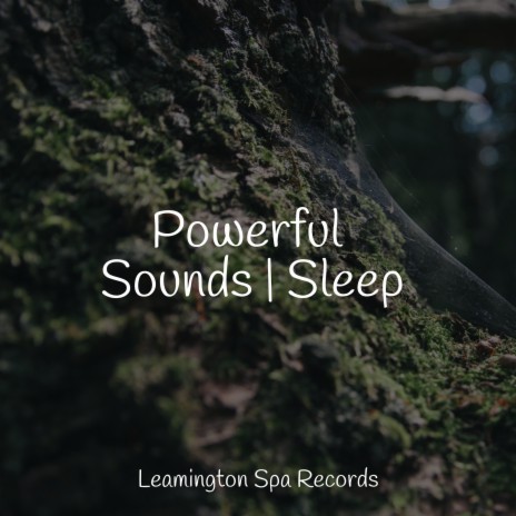 Music for Relaxation | Boomplay Music