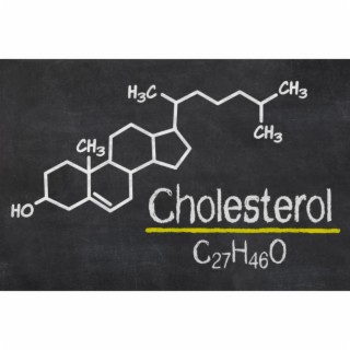100NO 570: Cholesterol: The Good and The Bad