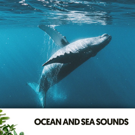 Symphony of the Rainforest ft. Ocean Sounds FX & Water Science | Boomplay Music