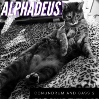 Conundrum and Bass 2