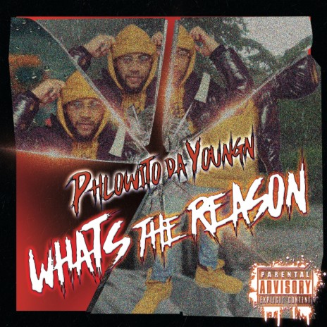 What's The Reason | Boomplay Music