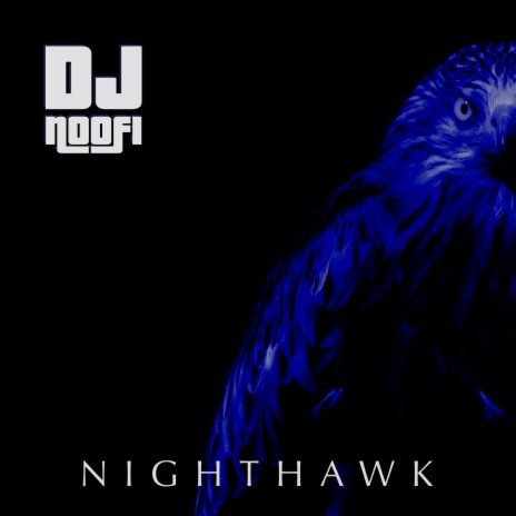 Nighthawk | Boomplay Music