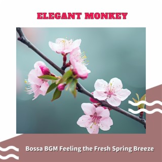 Bossa Bgm Feeling the Fresh Spring Breeze