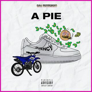 A Pie