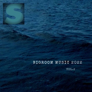 BIGROOM MUSIC 2022,Vol.2