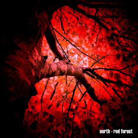 Red Forest | Boomplay Music