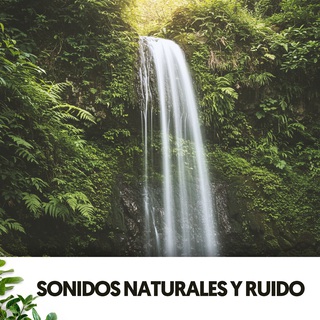 Sonidos Naturales y Ruido: Melodías del aire