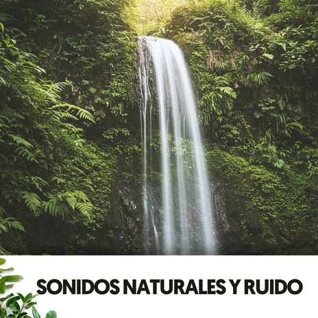 Momento Pluvial ft. The Nature Soundscapes & Focus Chamber