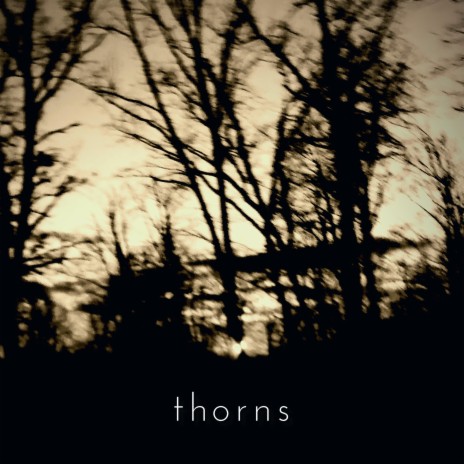 Thorns | Boomplay Music