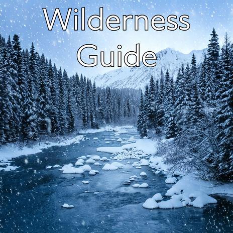 Wilderness Guide | Boomplay Music