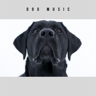 Soothing Songs For Dogs