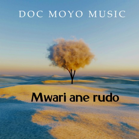 Mwari ane rudo | Boomplay Music