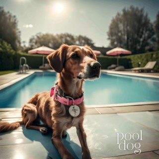 Pool Dog