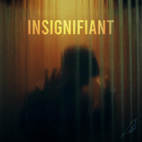 Insignifiant | Boomplay Music