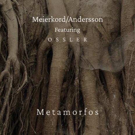 Metamorfos II ft. Pelle Andersson