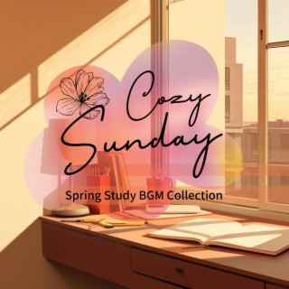Spring Study Bgm Collection