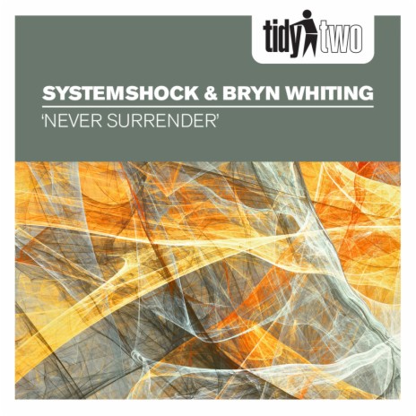 Never Surrender (Radio Edit) ft. Bryn Whiting